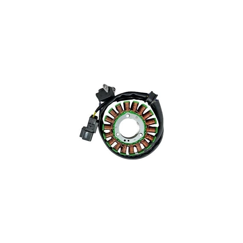GTEM Cf Moto NK 250 Statör