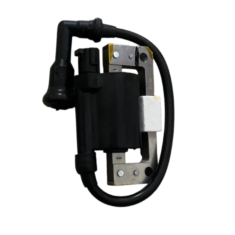 TVS Tvs Raider Dış Ateşleme Bobini N6060340