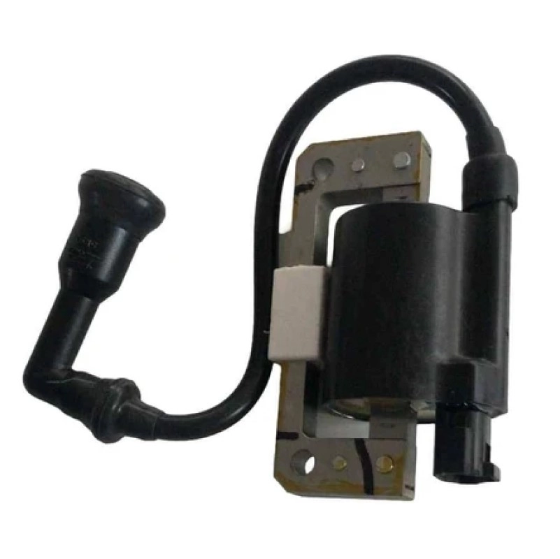 TVS Tvs Raider Dış Ateşleme Bobini N6060340
