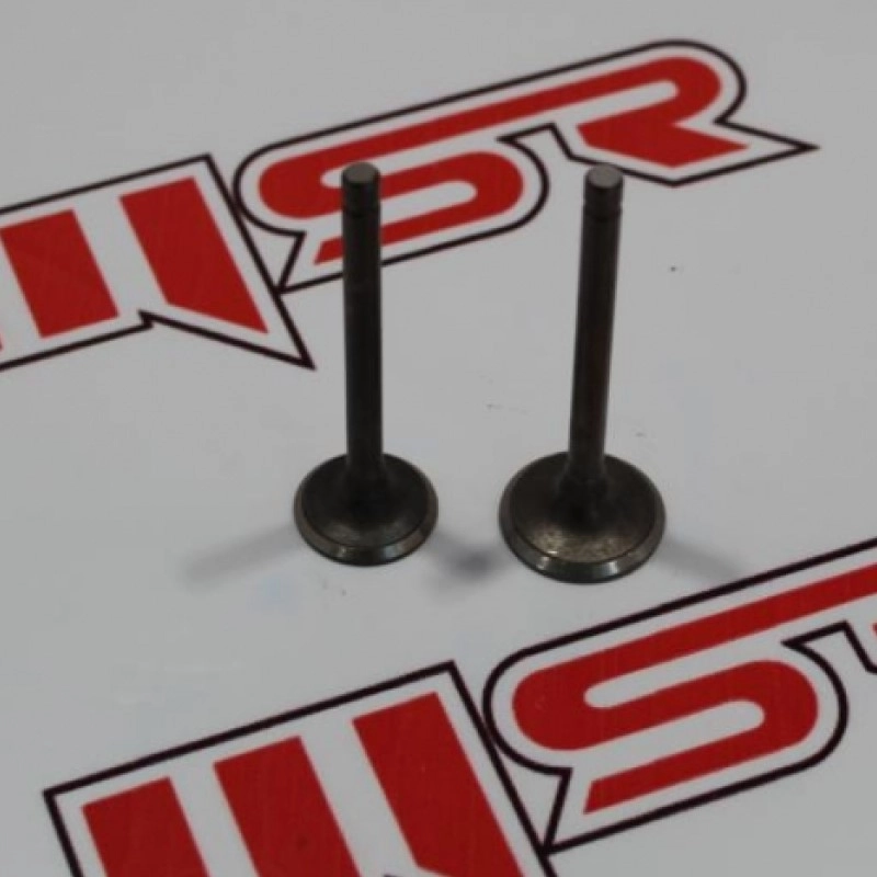 MSR Yamaha Cygnus L Emme Egzoz Subap Takımı