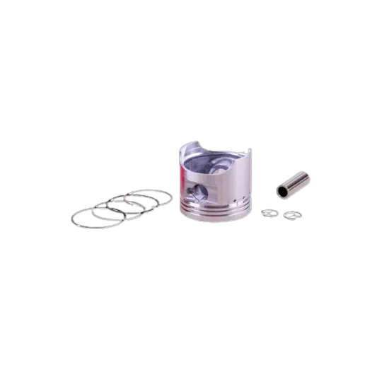 Monero Cup 100 Piston Sekman Seti