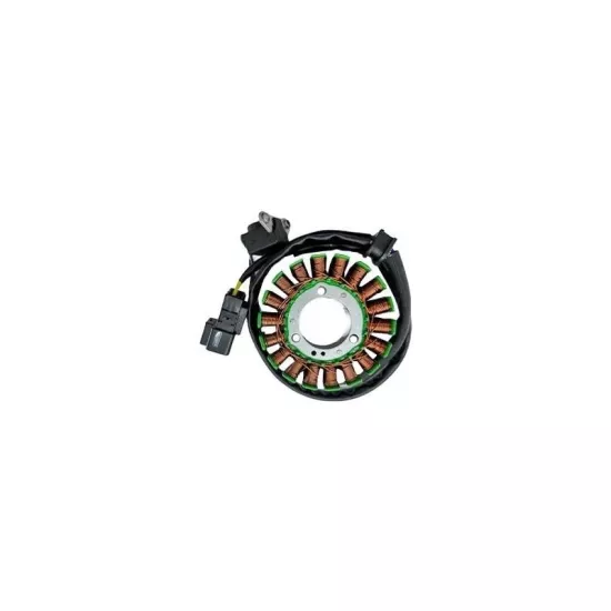 GTEM Cf Moto NK 250 Statör