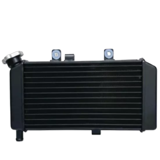 Monero Cf Moto Nk 250 Radyatör Euro 4 