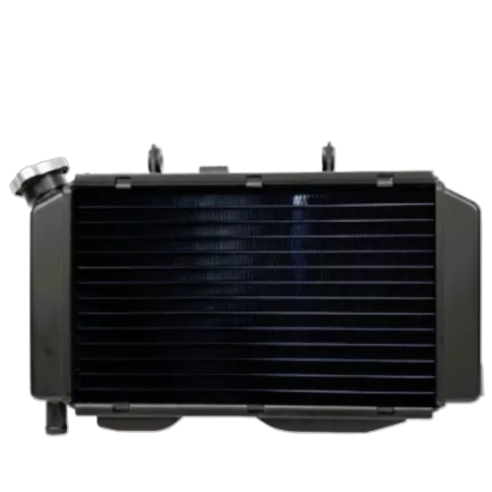 Monero Cf Moto Nk 250 Radyatör Euro 5