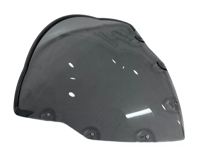 BAJAJ Bajaj Pulsar RS 200 Ön Cam 2021-2023 DT181232