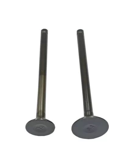 MSR Honda Today 50 Emme Egzoz Supap Takımı