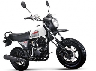 Lifan Pony 100 Yedek Parça